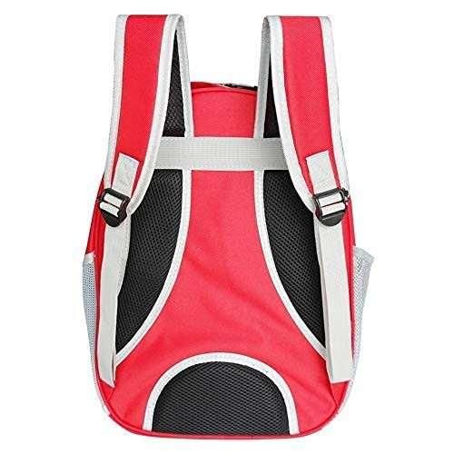 Pet Cat Carrying Bag Space Pet Backpacks Breathable Portable Transparent - maagauri.com