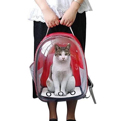 Pet Cat Carrying Bag Space Pet Backpacks Breathable Portable Transparent - maagauri.com